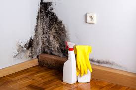 Best Asbestos and Lead Testing During Mold Inspection in Crest, CA